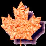 Canadian Club